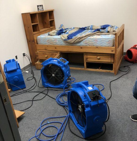 Bed Bug Treatment — Definity Pest Services in Dallas–Fort Worth Metroplex