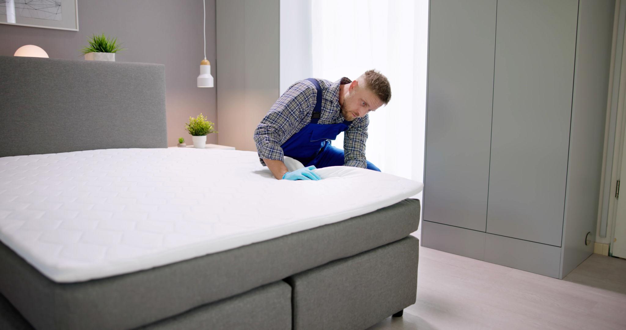 Bed Bug Treatment — Definity Pest Services in Dallas–Fort Worth Metroplex