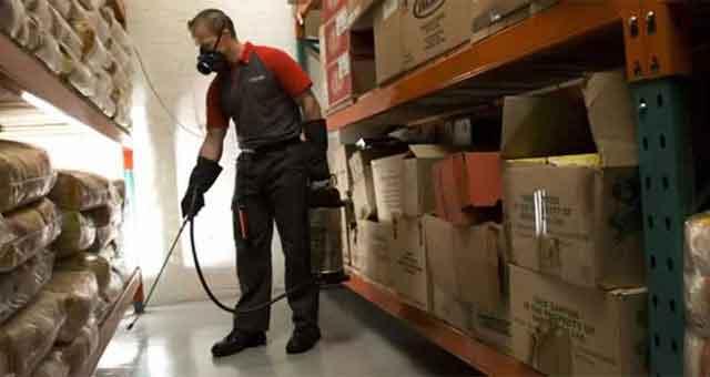 Commercial Pest Control — Definity Pest Services in Dallas–Fort Worth Metroplex