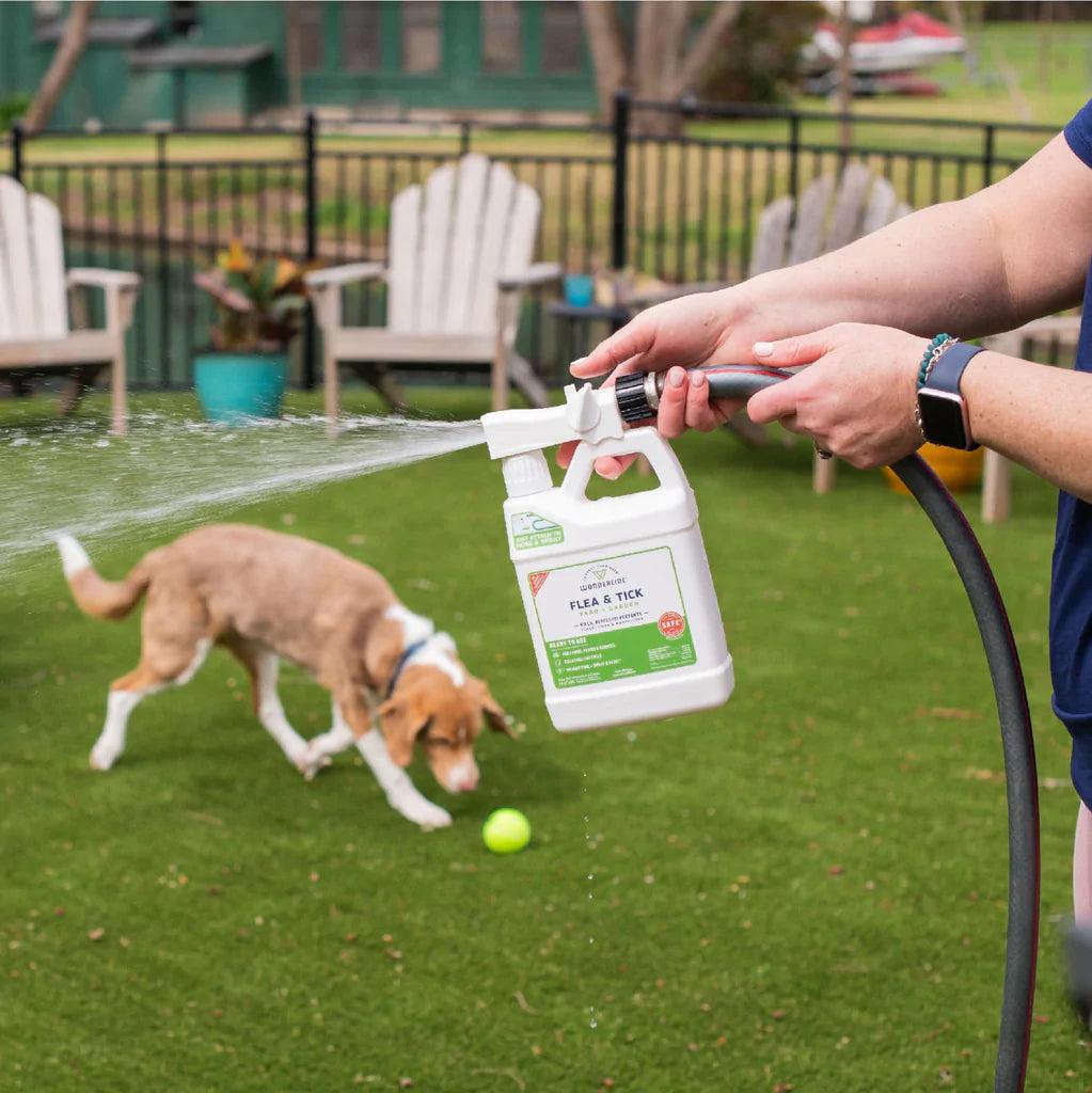 Technician treating a shaded yard area for fleas and ticks