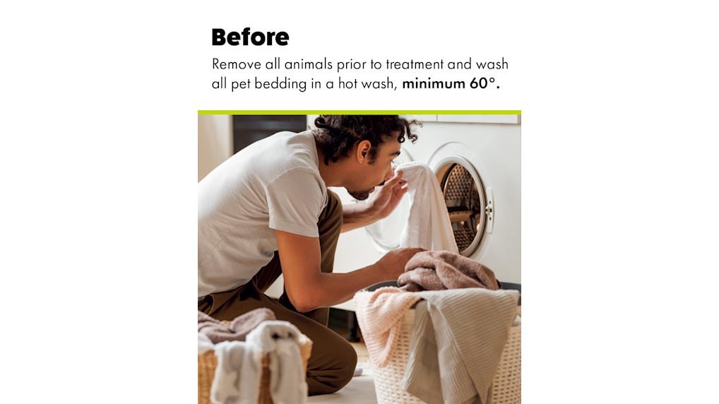 Flea & Tick Control — Definity Pest Services in Dallas–Fort Worth Metroplex