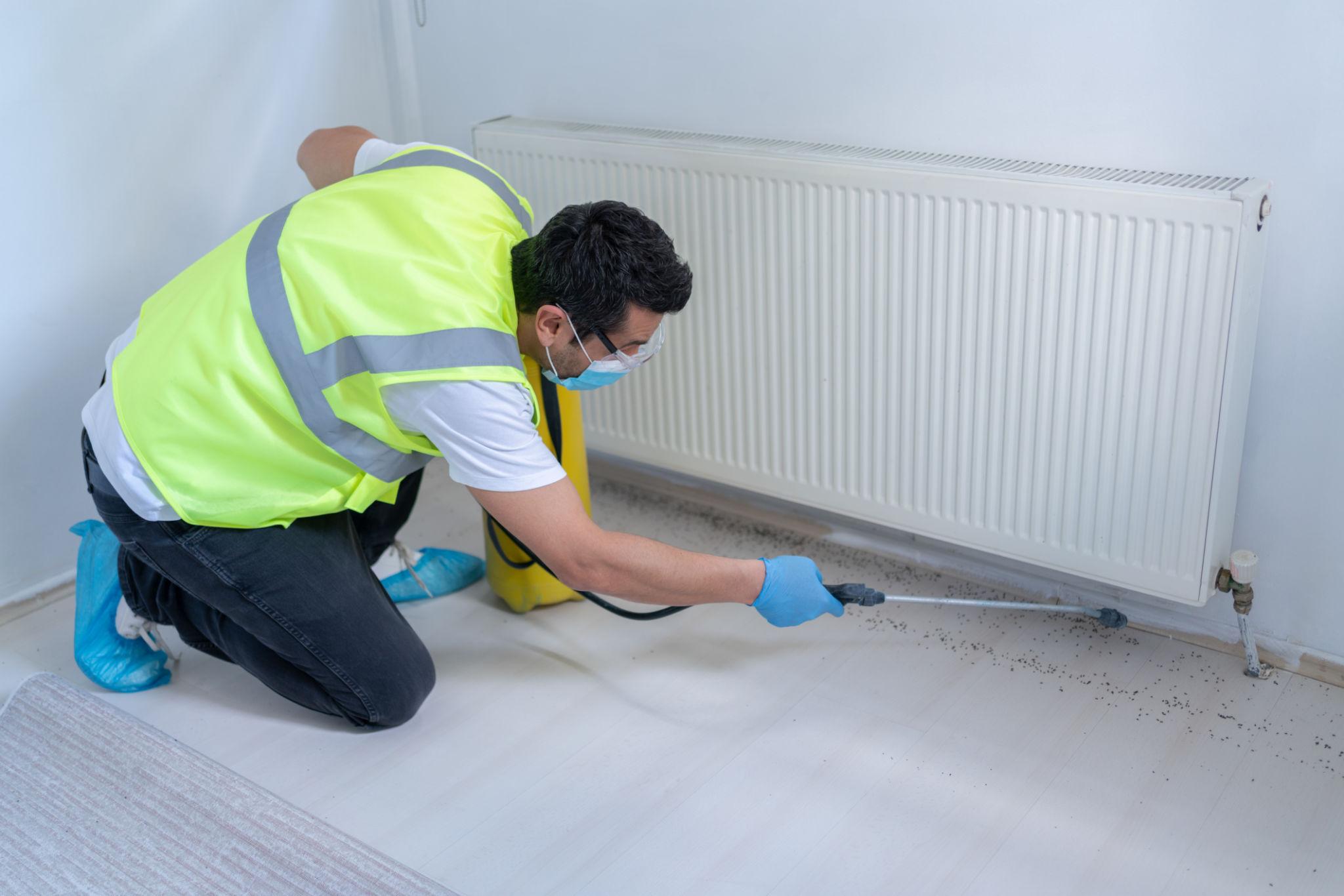 General Pest Control — Definity Pest Services in Dallas–Fort Worth Metroplex