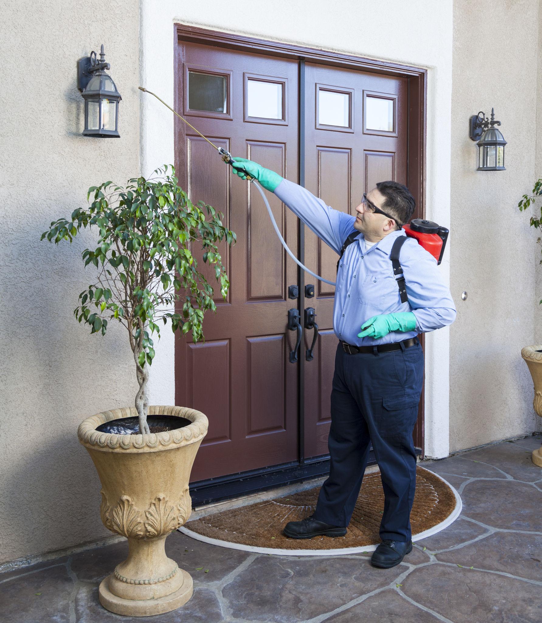 General Pest Control — Definity Pest Services in Dallas–Fort Worth Metroplex