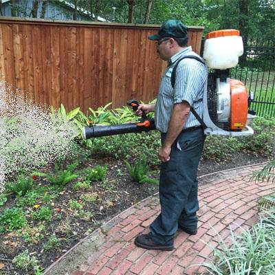Mosquito Control — Definity Pest Services in Dallas–Fort Worth Metroplex