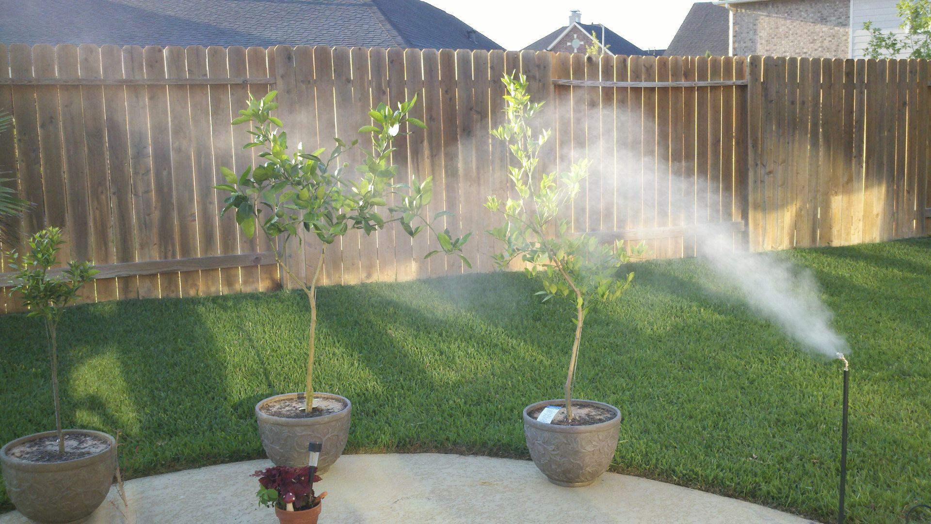 Mosquito Control — Definity Pest Services in Dallas–Fort Worth Metroplex