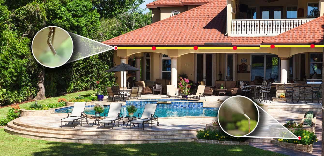 Mosquito Control — Definity Pest Services in Dallas–Fort Worth Metroplex