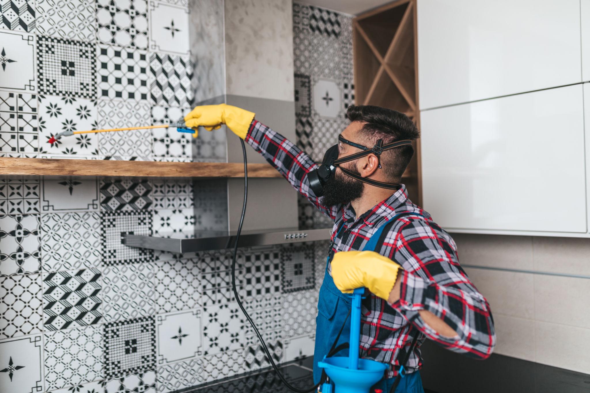 Roach Cleanout Service — Definity Pest Services in Dallas–Fort Worth Metroplex