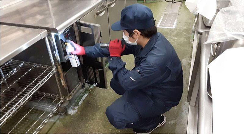 Roach Cleanout Service — Definity Pest Services in Dallas–Fort Worth Metroplex