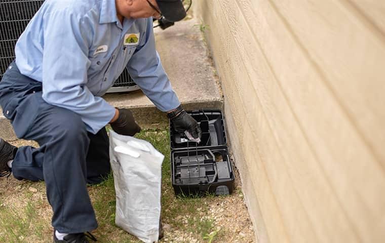 Rodent Control & Exclusion — Definity Pest Services in Dallas–Fort Worth Metroplex