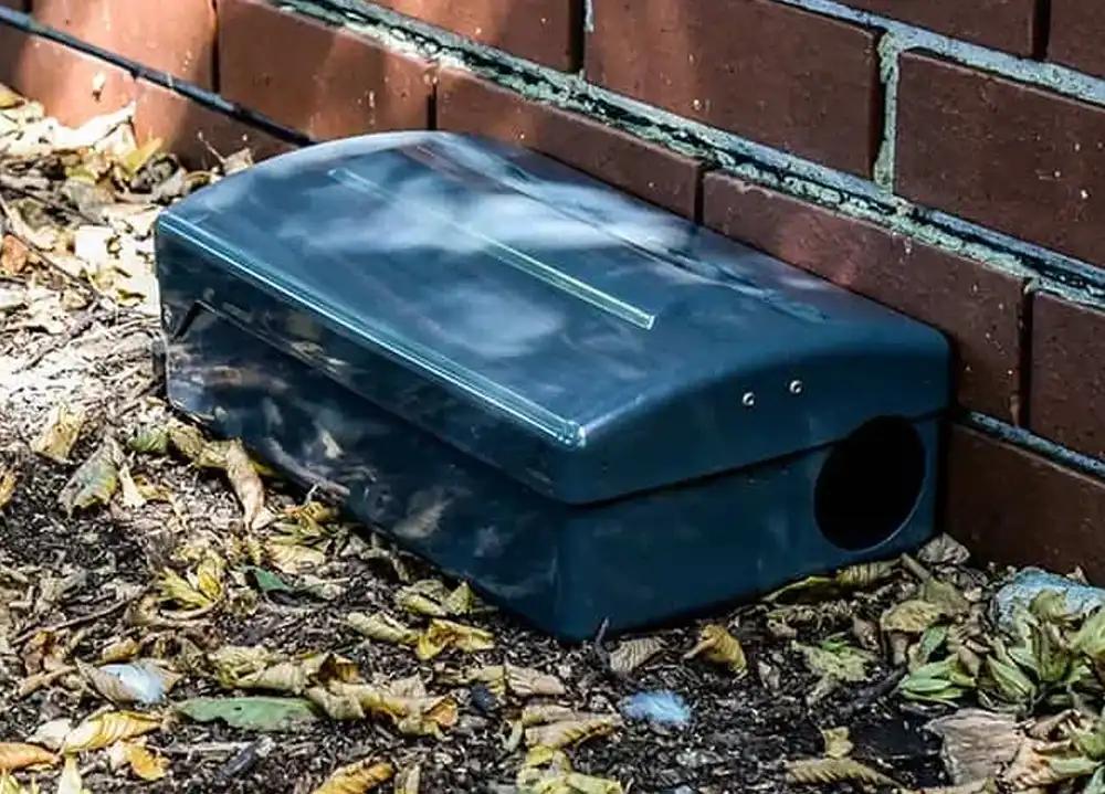 Rodent Control & Exclusion — Definity Pest Services in Dallas–Fort Worth Metroplex
