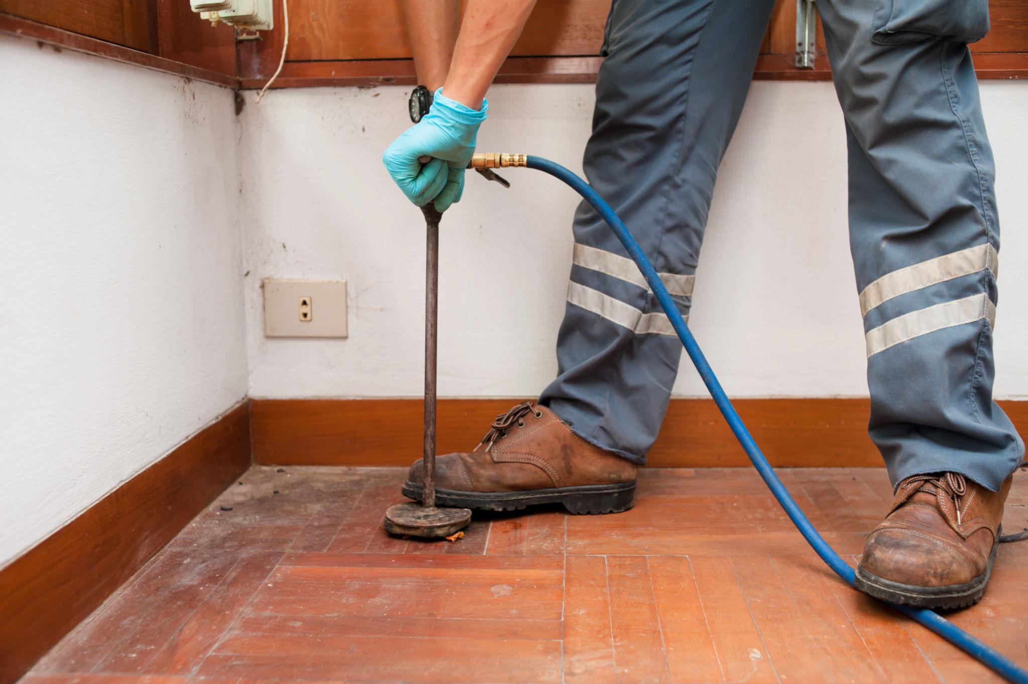 Termite Control & Treatment — Definity Pest Services in Dallas–Fort Worth Metroplex