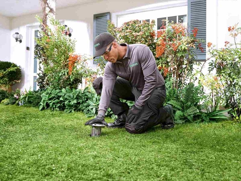 Termite Control & Treatment — Definity Pest Services in Dallas–Fort Worth Metroplex