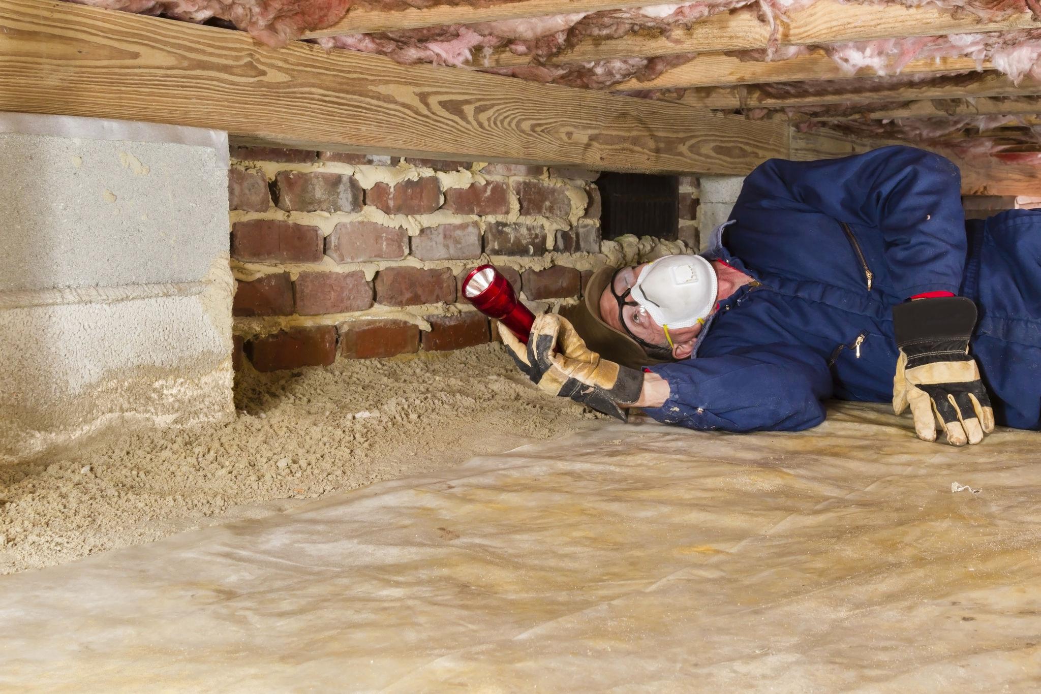 WDO / Termite Inspections — Definity Pest Services in Dallas–Fort Worth Metroplex