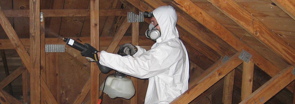 Wildlife Removal — Definity Pest Services in Dallas–Fort Worth Metroplex